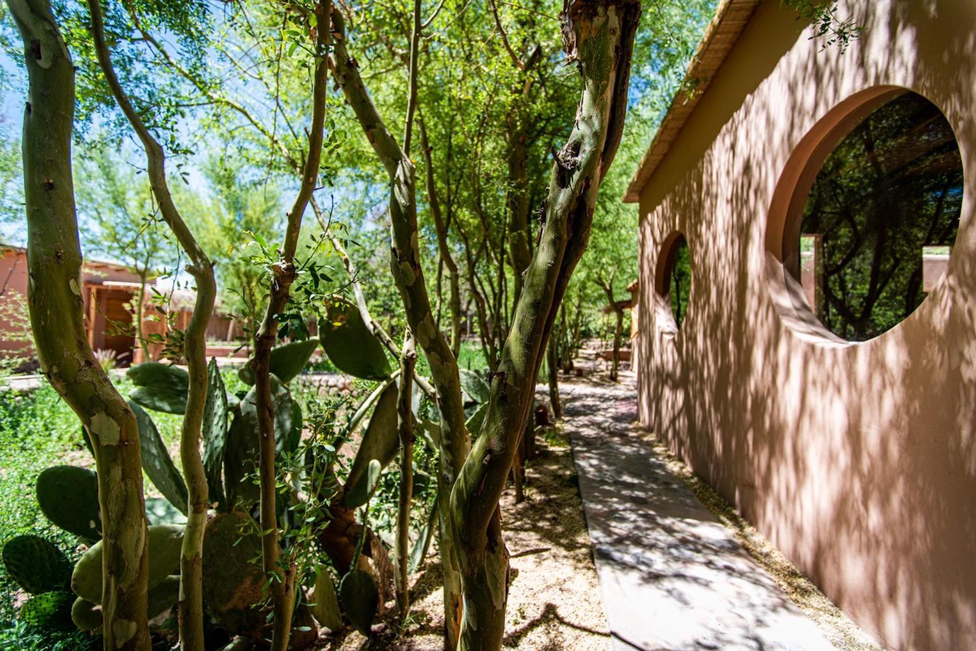 Naturalis Hotel San Pedro de Atacama Bagian luar foto